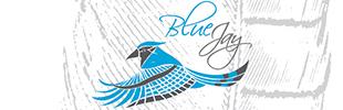 Delta  Blue Jay by Dan Smith - FPGeeks
