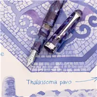 Aurora Il Viaggio Segreto in Italia Baia di Napoli Fountain Pen - Stilografica