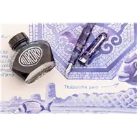 Aurora Il Viaggio Segreto in Italia Baia di Napoli Fountain Pen - Stilografica