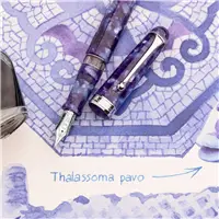 Aurora Il Viaggio Segreto in Italia Baia di Napoli Fountain Pen - Stilografica