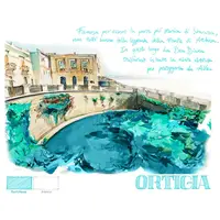 Aurora Il Viaggio Segreto in Italia Baia di Napoli Fountain Pen - Stilografica