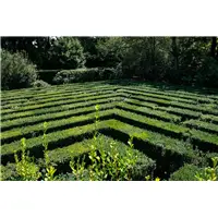 Aurora 888 The Labyrinth of Villa Barbarigo Fountain Pen - Stilografica