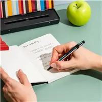 Caran d'Ache Paul Smith Ed. 5 Silver Ballpoint Pen - Sfera