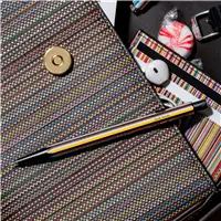 Caran d'Ache Paul Smith Ed. 5 Silver Ballpoint Pen - Sfera