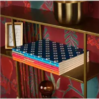 Cairefontaine Neo Deco 11 x 17 Lined set of 6 Notebook