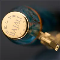 Delta Indigenous People BAJAU 14k Gold nib Fountain Pen - Stilografica