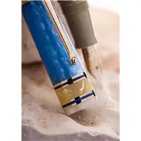DELTA Paestum 14k Gold nib - Fountain Pen - Stilografica