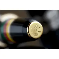 Delta Simbu Rose Silver 388 Fountain Pen - Stilografica