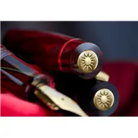 Delta Signs of Time ART EDITION Barocco Fountain Pen - Stilografica