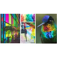 Kaweco Collection Fountain Pen Liliput Kolibri - Stilografica