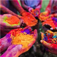 Leonardo Momento Zero Grande Holi 14k Elastic Gold nib - Fountain Pen - Stilografica