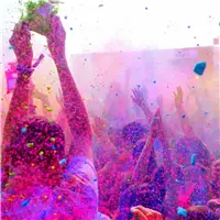 Leonardo Momento Zero Grande Holi 14k Elastic Gold nib - Fountain Pen - Stilografica