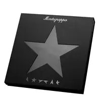 Montegrappa David Bowie Blackstar Fountain Pen - Stilografica