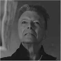 Montegrappa David Bowie Blackstar Fountain Pen - Stilografica