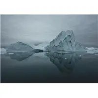 Montegrappa Wild Arctic Ballpoint Pen - Sfera