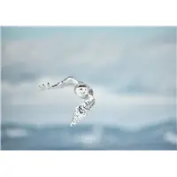 Montegrappa Wild Arctic Ballpoint Pen - Sfera