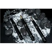 Nahvalur Nautilus Cephalopod Black Gold Fountain Pen - Stilografica