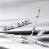 OMAS Ogiva Frosted Demonstrator GT Fountain Pen - Stilografica