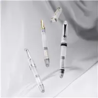 OMAS Ogiva Frosted Demonstrator GT Fountain Pen - Stilografica