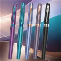 Parker Meridian Grape Fountain Pen - Stilografica