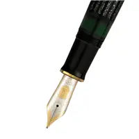 Pelikan Raden M1000 Stardust Hoshikuzu Fountain Pen - Stilografica