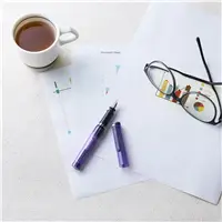 SAILOR TUZU 2025 Translucent Violet Fountain Pen - Stilografica