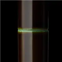 SCRIBO PIUMA HANE Toruko GT Fountain Pen - Stilografica