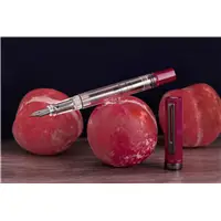 TWSBI ECO Plum & Onyx Fountain Pen - Stilografica