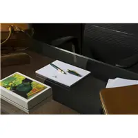 Visconti Van Gogh The Novel Reader Roller