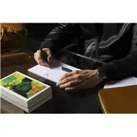 Visconti Van Gogh The Novel Reader Roller