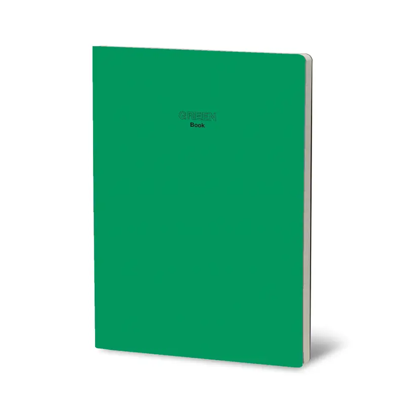 STIFFLEX Prisma Colors 17x24 Notebook The GREEN Book