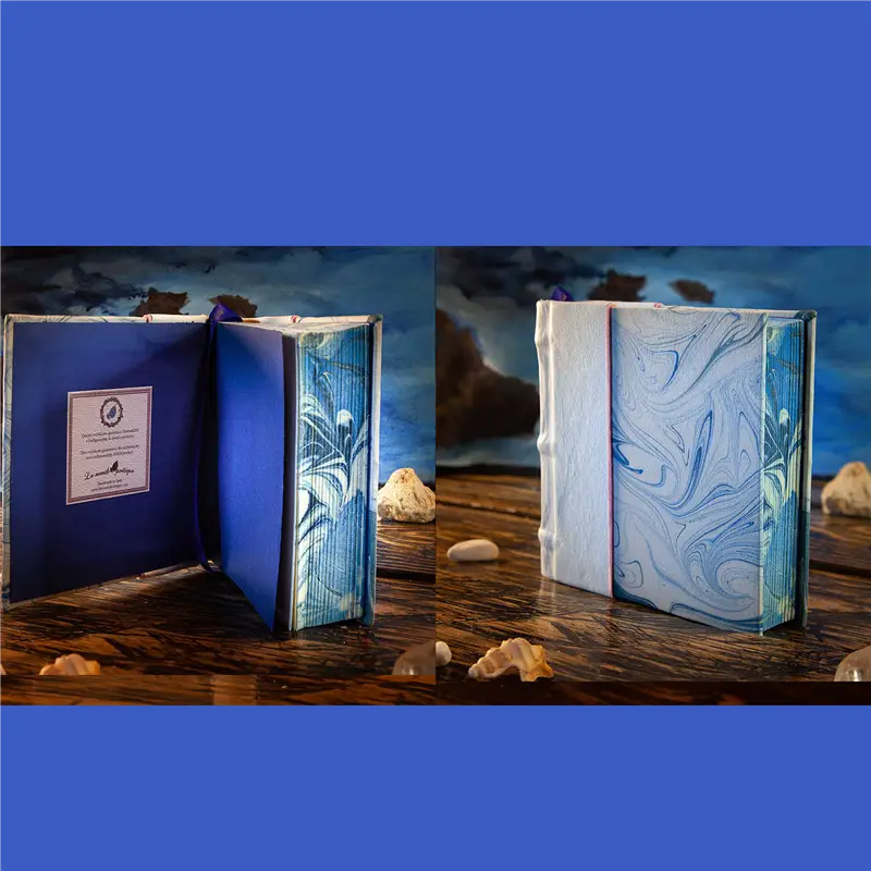 Le Monde Poetique Silk Journal Acqua Notebook