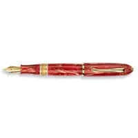 Delta Gladiator Steel nib Fountain Pen - Stilografica
