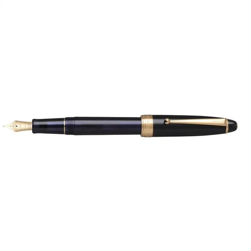 Pilot Custom NS Mistery Blue Fountain Pen - Stilografica